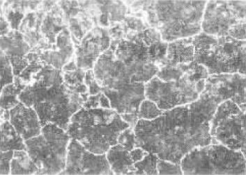 ���l��������𣬻ػ����ӟ��˻�ą^(q��)�e��ʲô��