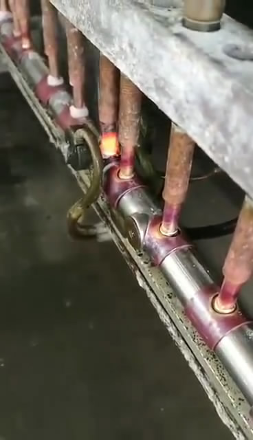 ֱ���~�ܺ��Ӱ������l���әC(j��)�����~��